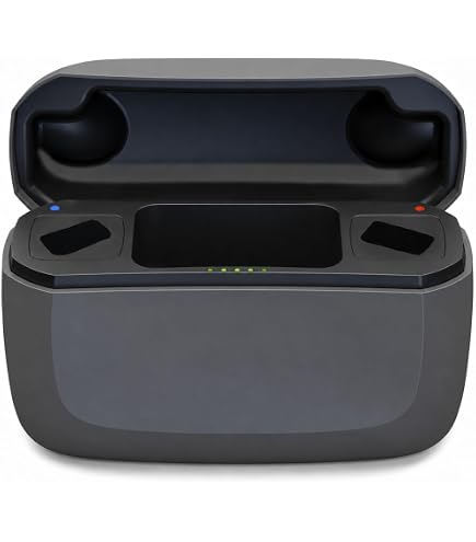 Amazon.com: Standard Charger for RIC GN Resound Hearing Aids